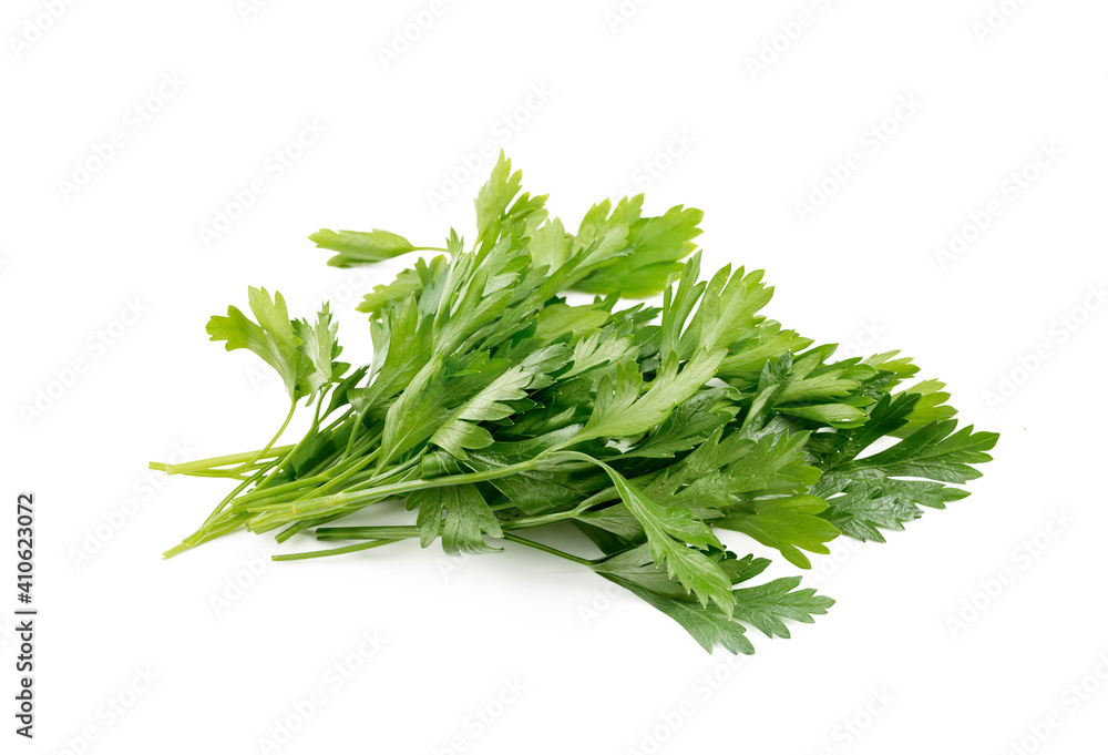 Green fresh parsley on the white background. Green fresh parsley on the white background.