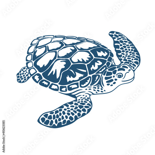 Sea Turtle vector isolated on white background. Reptile. Animals. Line art. Marine life. Black and white monochrome drawing