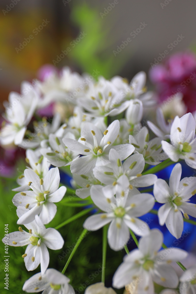 Obraz premium 花束の花