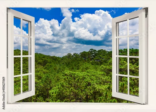 Fototapeta view from an open window to the jungle