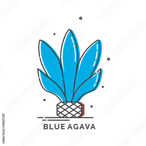 Blue agave plant for distill tequila. Isolated logo on white background. Flat style image of agricultural product with text caption