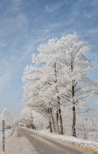 Tree branches covered with white frost on a background of blue sky. Magic winter.
