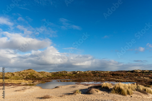 Dune landscape in Bergen aan Zee, Noord-Holland, The Netherlands, Europe