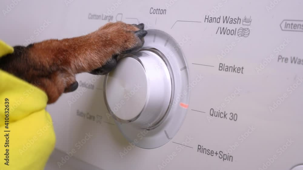 Control panel with description of white washing machine, close up. Dog