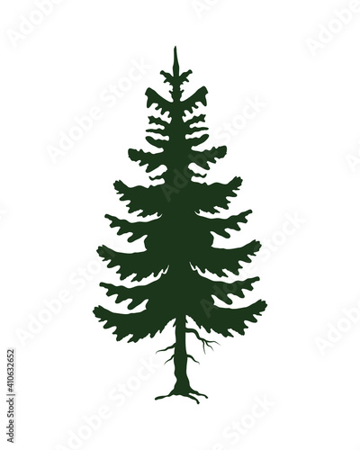 green leafy pine tree silhouette