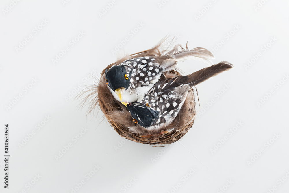 spring background for Easter card with birds and nest spring background for Easter card with birds and nest