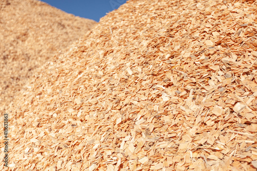 Background in the form of wood chips. Sawdust.