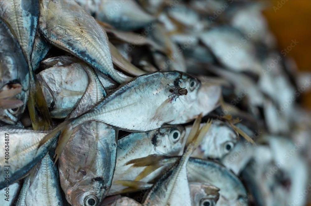 Obraz premium macro photo of fresh fish at the market