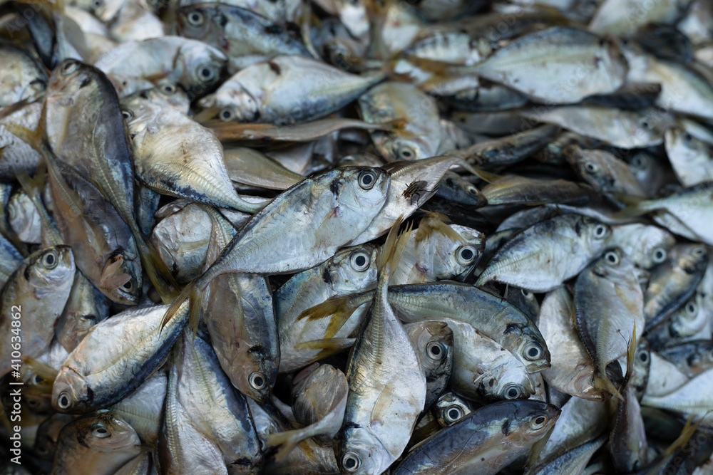 macro photo of fresh fish at the market