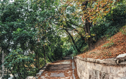 Photography Picturesque autumn gothic park in Budapest, Hungary