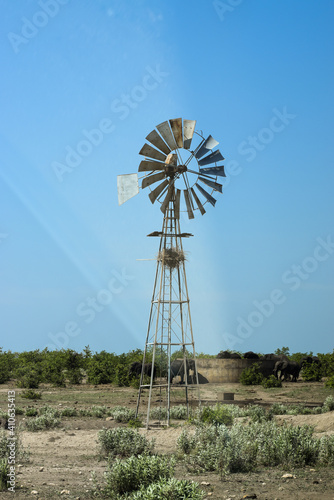 A wind pump used to pump water for the animals in Kruger National Park, South Africa. Some elephants are drinking water from a tank.