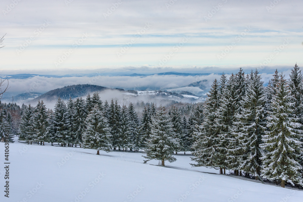 Magische Winterland am Rennsteig, nahe Streut-Helmershof, im Thüringer Wald