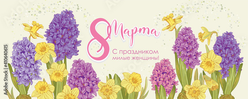 flowers hyacinth and daffodil flowers. 8 march banner