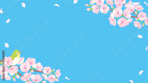 桜の背景素材　ブルー