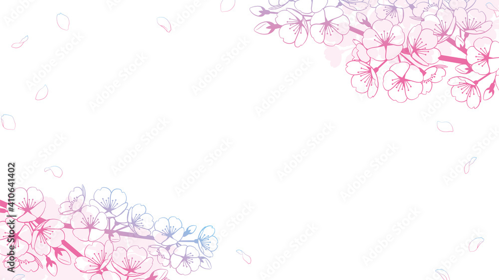 桜の背景素材　線画グラデーション