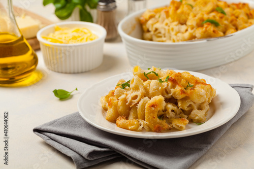 Traditional North American dish. Baked pasta with cheese.