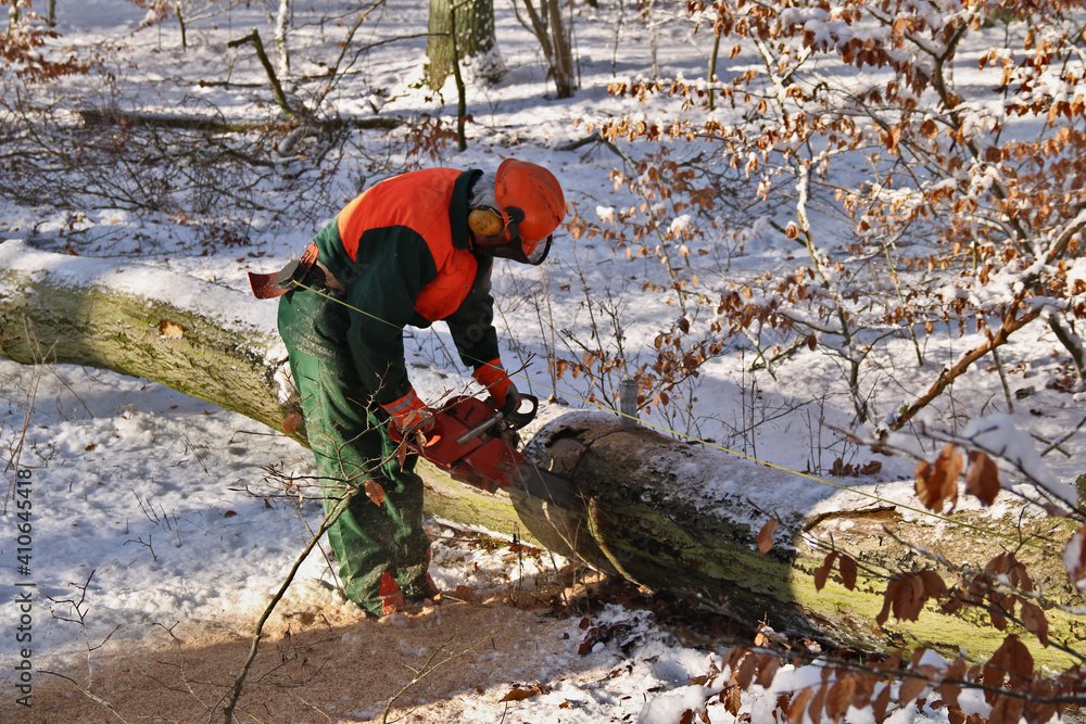 Holzfäller mit Kettensäge am gefällten Baum im Winter Holzfäller mit Kettensäge am gefällten Baum im Winter
