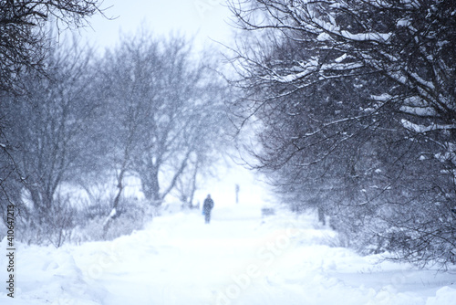 Snowy nature in the morning,winter