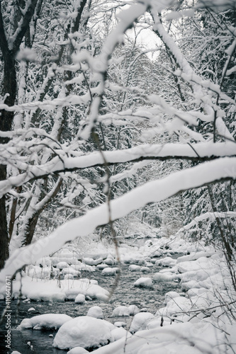 Taevaskoda and its nature in Estonian winter photo