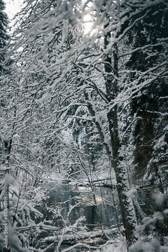 Taevaskoda and its nature in Estonian winter photo