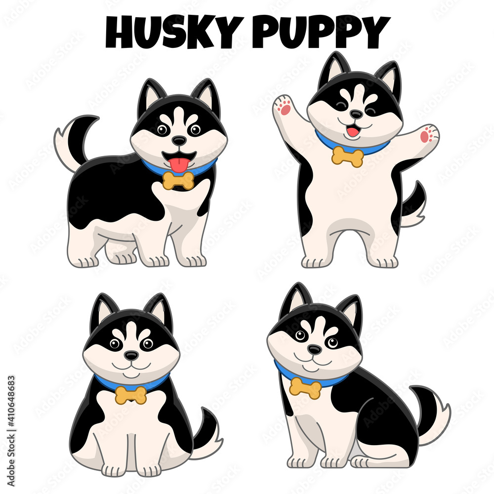 Obraz premium set of cute husky puppy dog