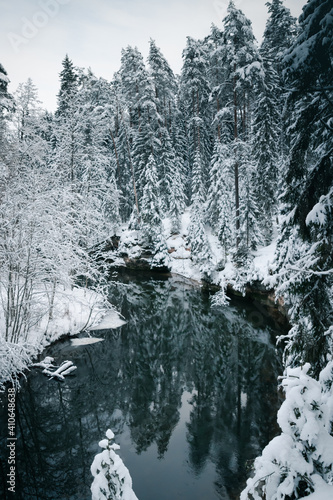 Taevaskoda and its nature in Estonian winter photo