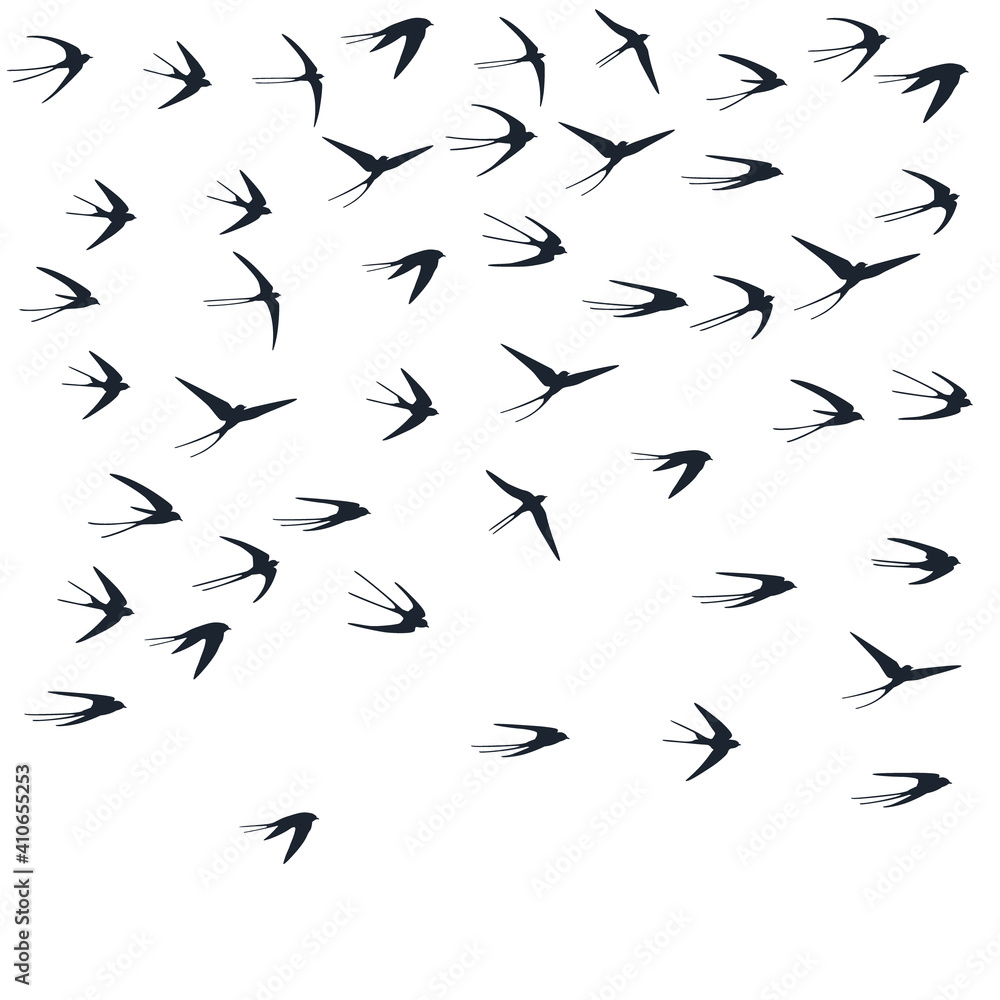 Flying martlet birds silhouettes vector illustration. Nomadic martlets flock isolated on white.