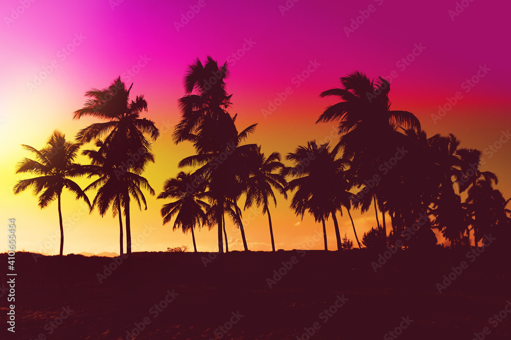  Palms trees sunset colored background