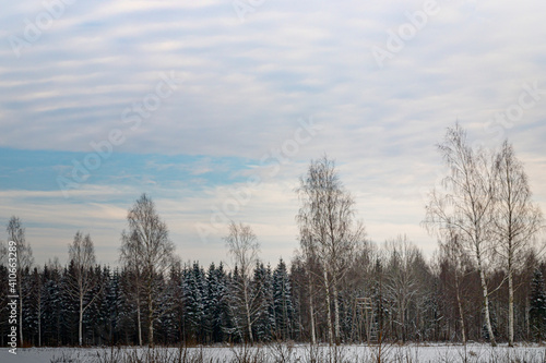 winter landscape with trees and snow and impressive wavy sky