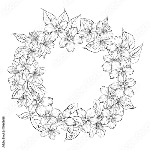 Outline of blooming sakura isolated over white background. White cherry flower. Wedding romantic frame.