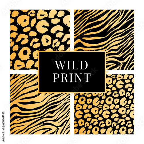 A collection of four different animal wild print backgrounds. Eps 10 Vector. Set