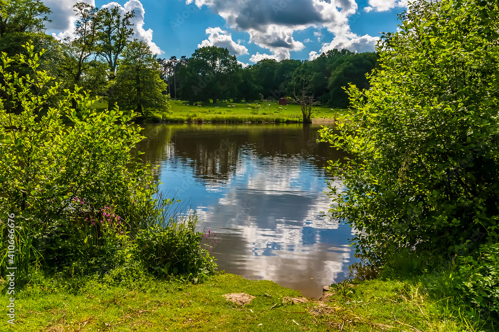 Φωτογραφία Reflections of the sky and clouds viewed through a gap in the bushes around  a lake in Warwickshire