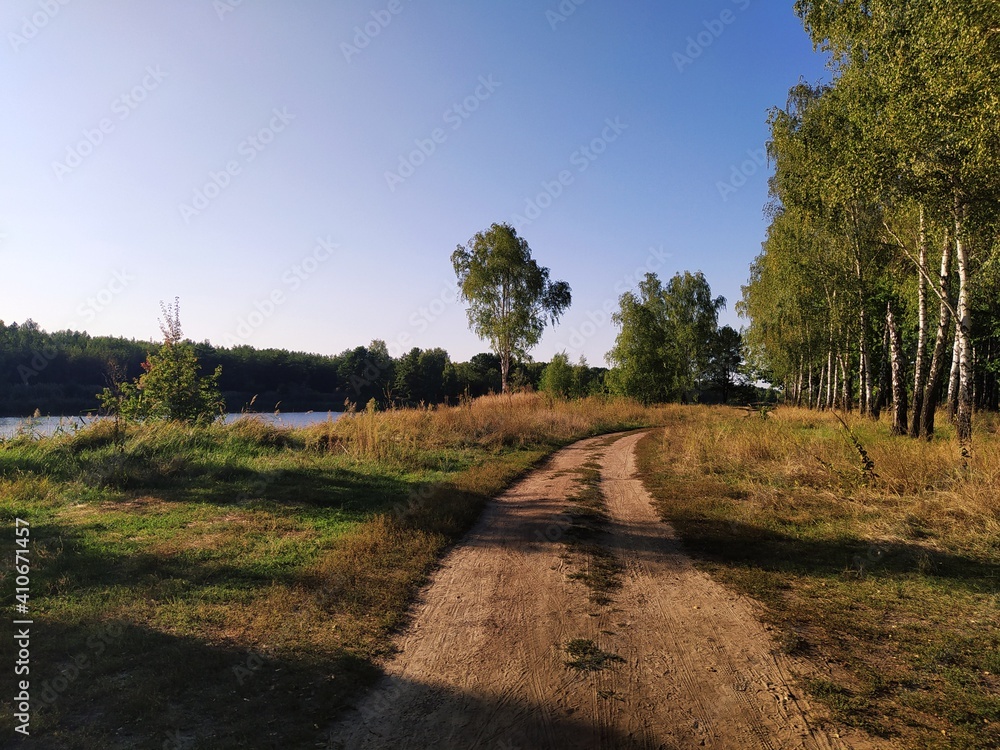 Fototapeta premium path in the forest