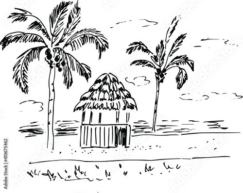  sketch  of tropical landscape with palms