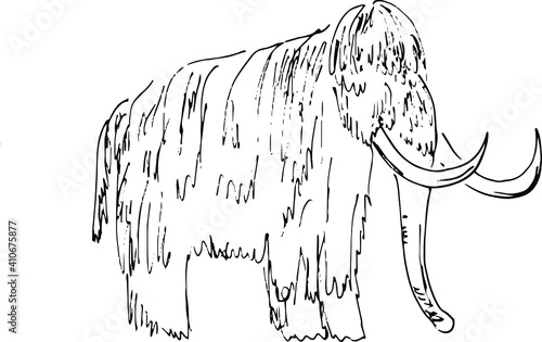 prehistoric mammal animal, tundra woolly mammoth with giant tusks, vector illustration with black ink lines isolated on a white background in a hand drawn style

