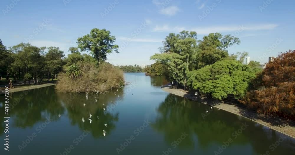 Lake in the square. Palermo-Buenos Aires-Argentina. Trees, water and birds flying. Aerial 4K traveling out.