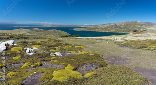 View from West Point Island, West Falkland Islands.