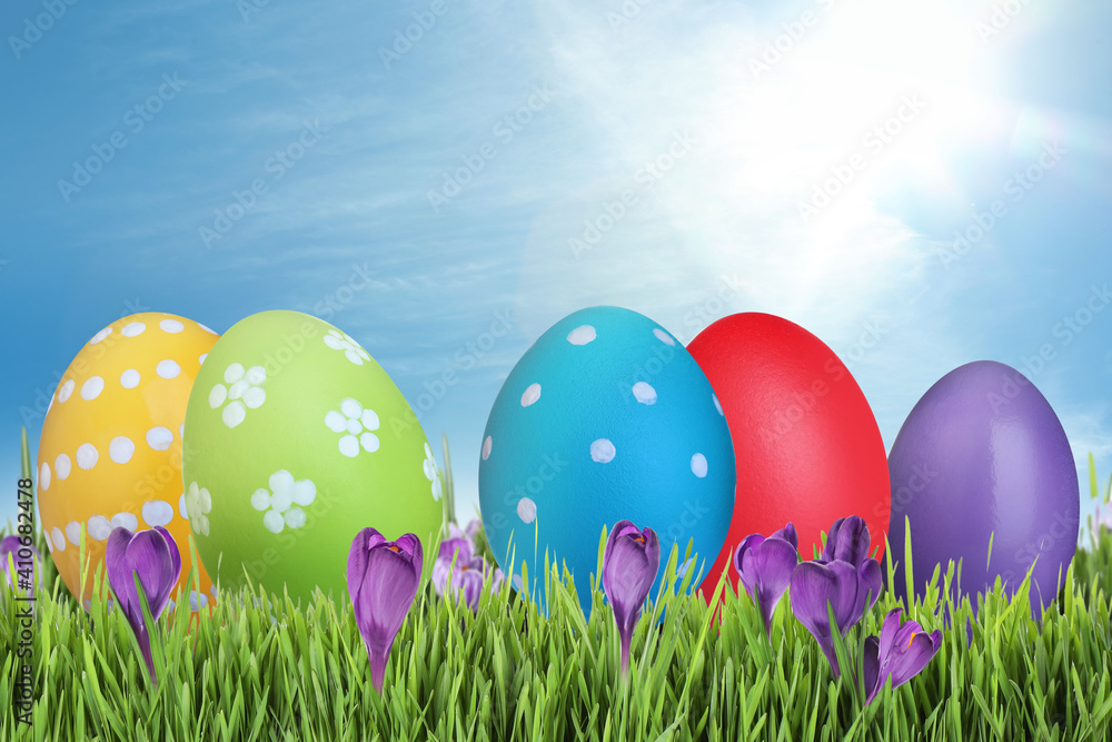 Bright Easter eggs and spring flowers on green grass outdoors