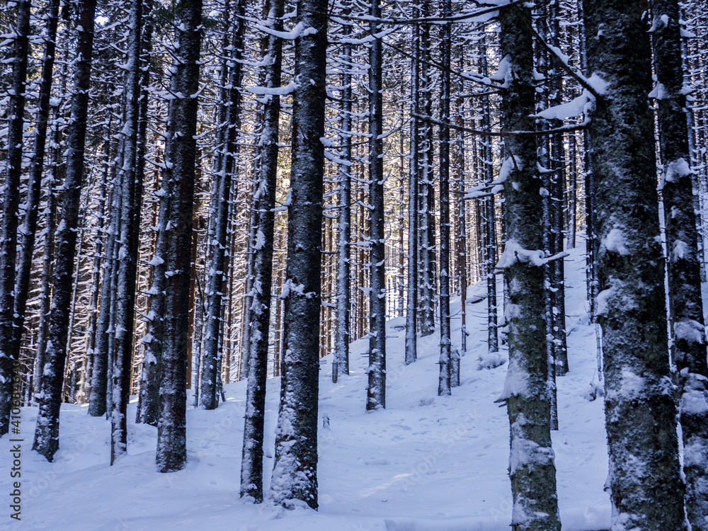 Naklejka premium Tatry zimą