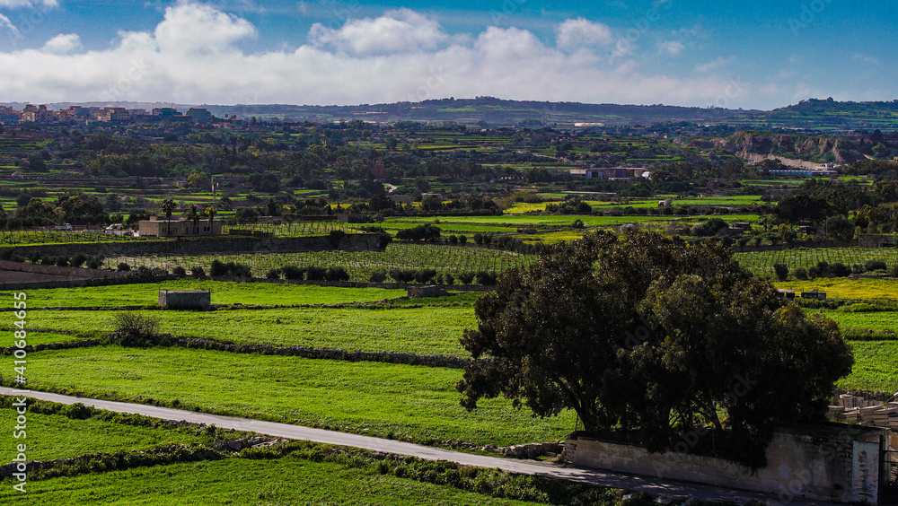 Green field in Malta