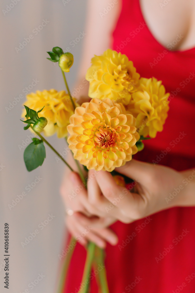 Yellow Dahlia in Female Hands Woman in Red Dress