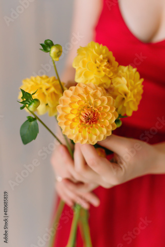 Yellow Dahlia in Female Hands Woman in Red Dress