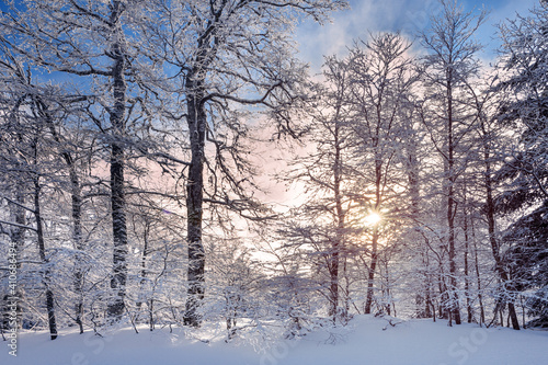 French winter landscapes. Panoramic view of mountain with snow covered trees. Vercors Regional Natural Park.
