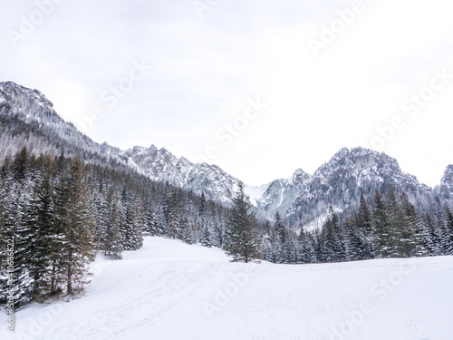 Tatry zim  