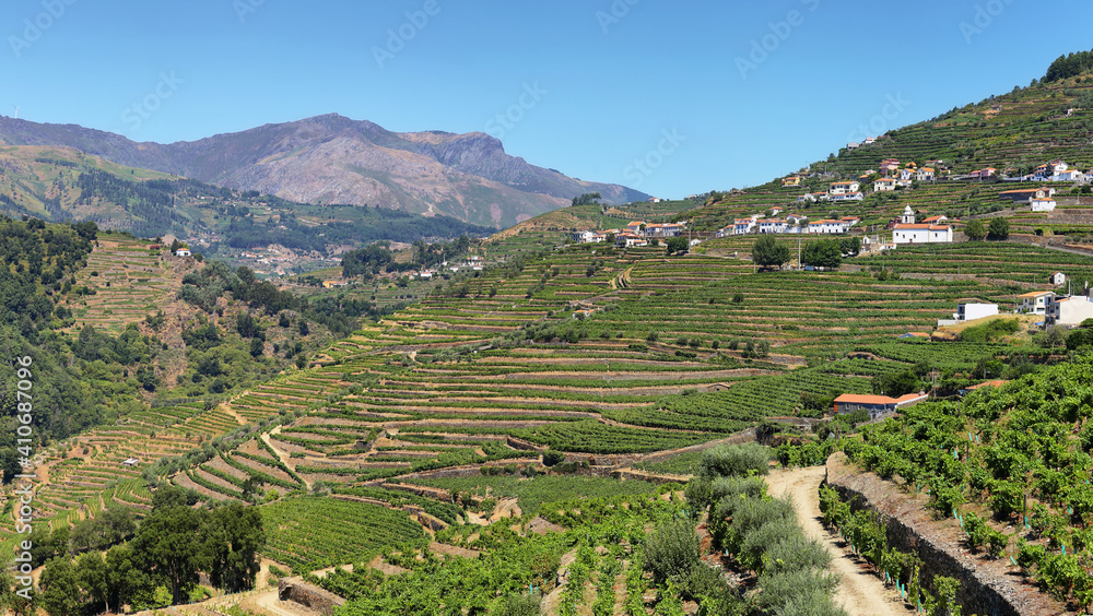 Amazing views of Douro vineyards from Oliveira village, Portugal