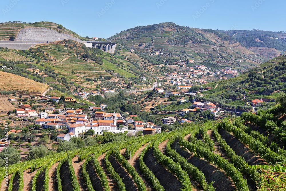 Amazing views of Douro vineyards from Presegueda village, Portugal