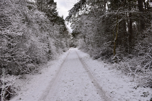 Snowy country road © Birgitta