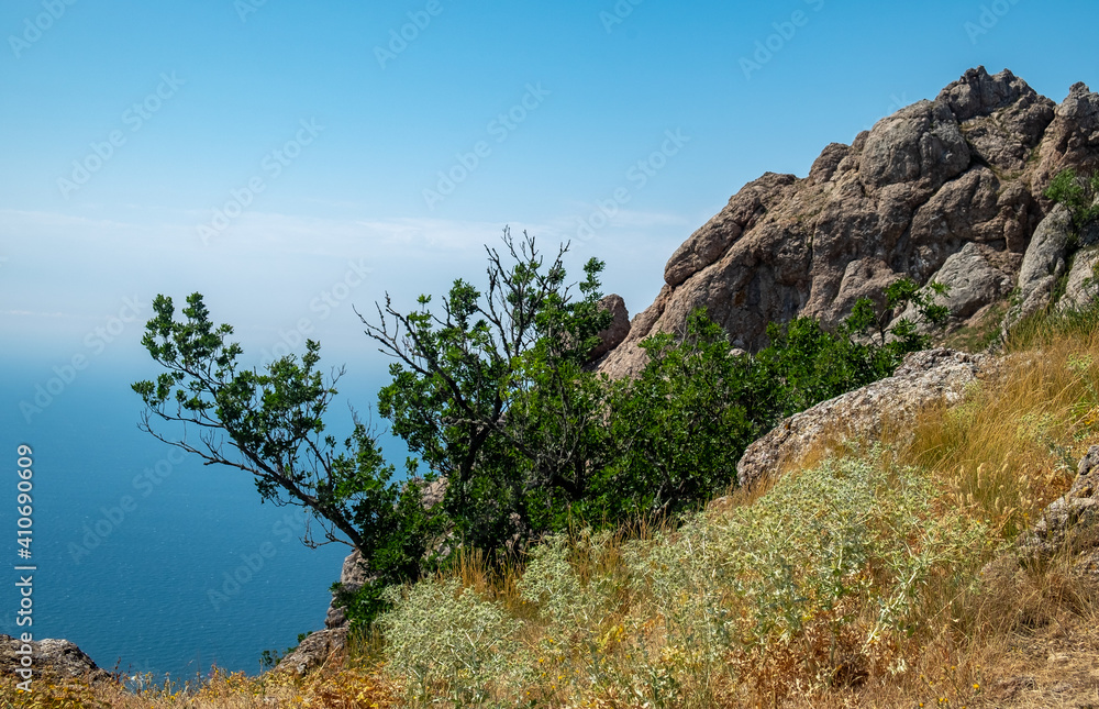 Mediterranean landscape. Forested rocks of the Black Sea coast of the southern coast of the Crimean Peninsula on a clear sunny day.