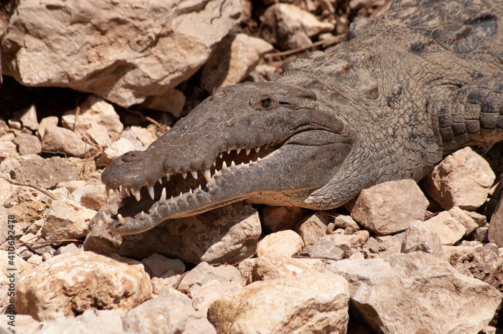 Obraz premium Cañon del Sumidero