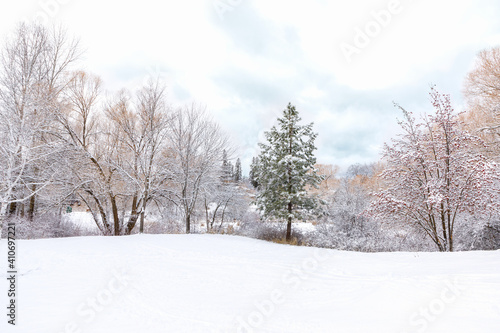 winter morning scene after fresh snowfall, Riverside Park, Whitefish, Montana